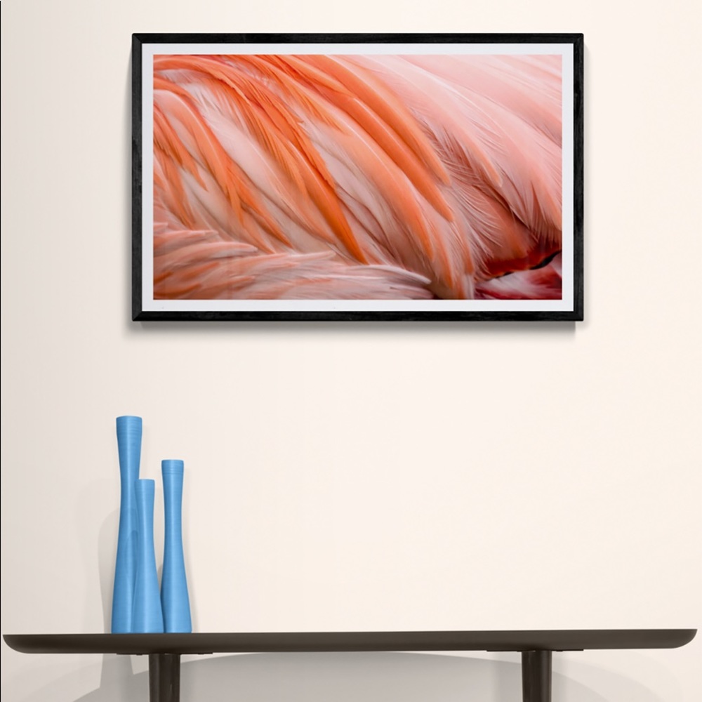Caribbean Flamingo Featers - print only
